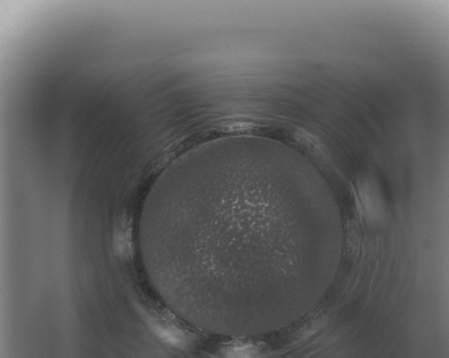 X0000068300267200604281717