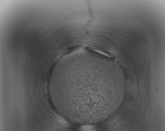 X0000068300269200604281717