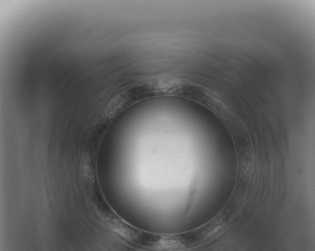 X0000068300270200604281717