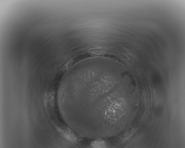 X0000068300271200604281717