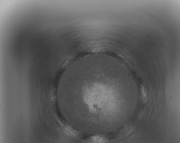 X0000068300272200604281717