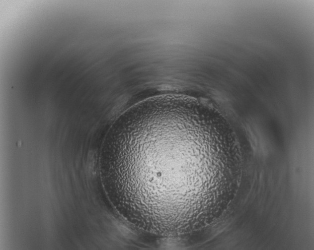 X0000068300273200604281717