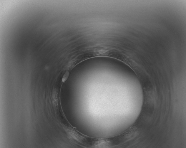 X0000068300274200604281717