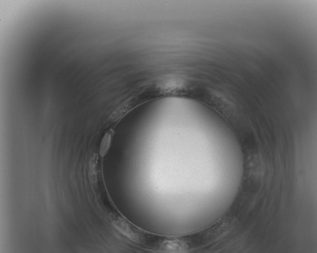 X0000068300275200604281717