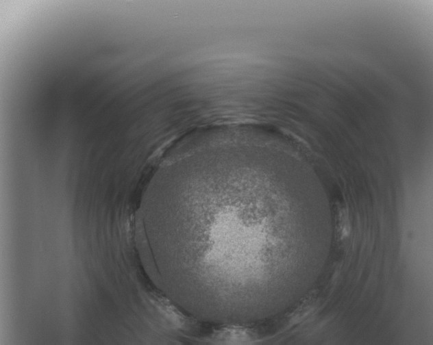 X0000068300276200604281717