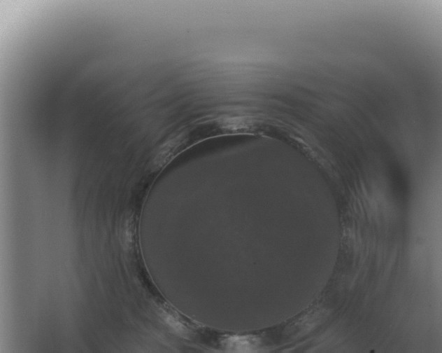 X0000068300277200604281717