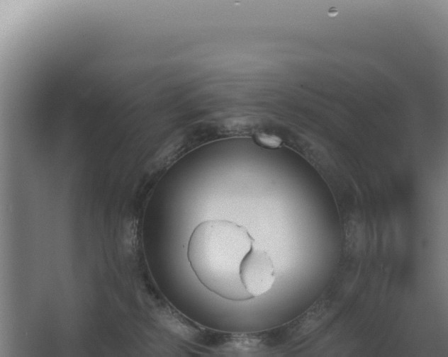 X0000068300278200604281717