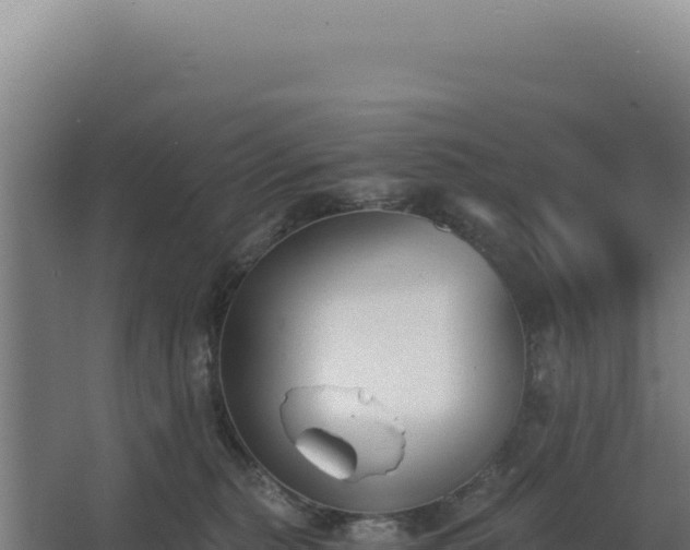 X0000068300279200604281717