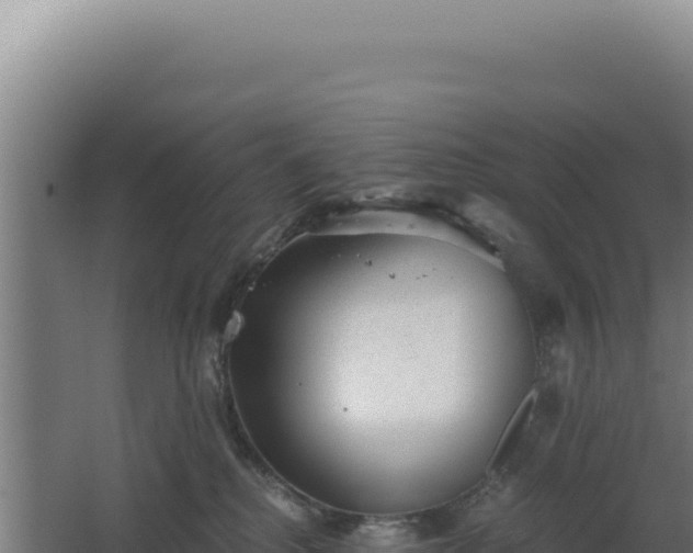 X0000068300280200604281717