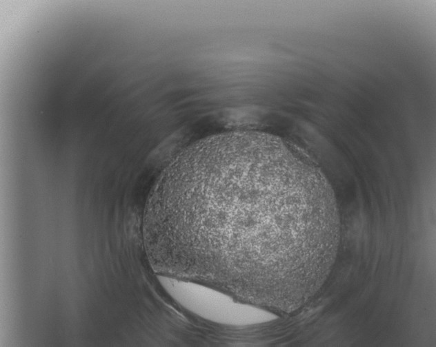 X0000068300281200604281717