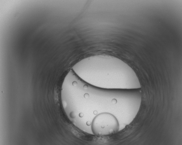 X0000068300282200604281717