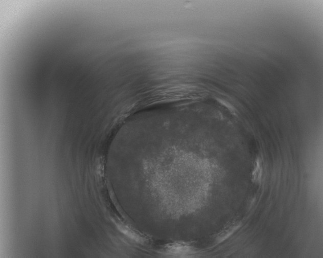 X0000068300284200604281717