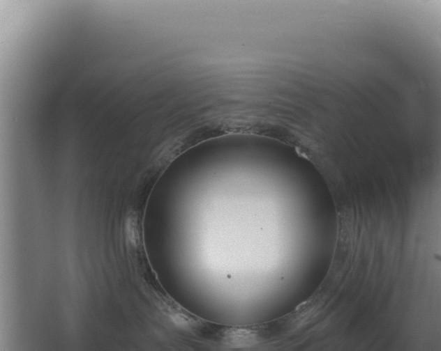 X0000068300287200604281717