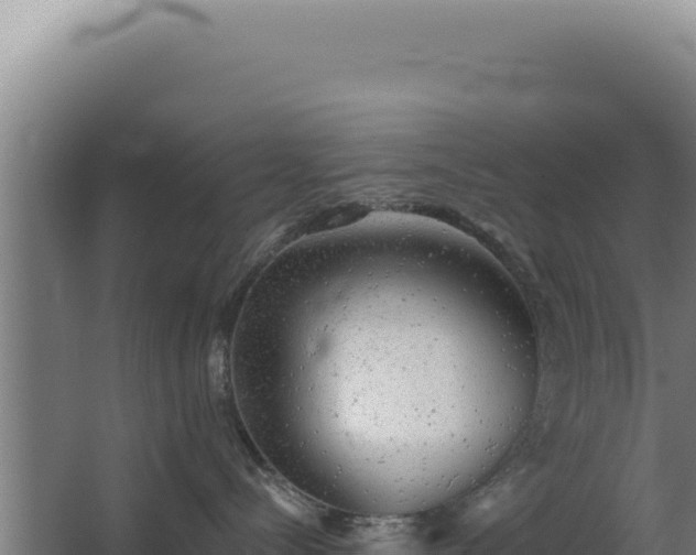 X0000068300288200604281717