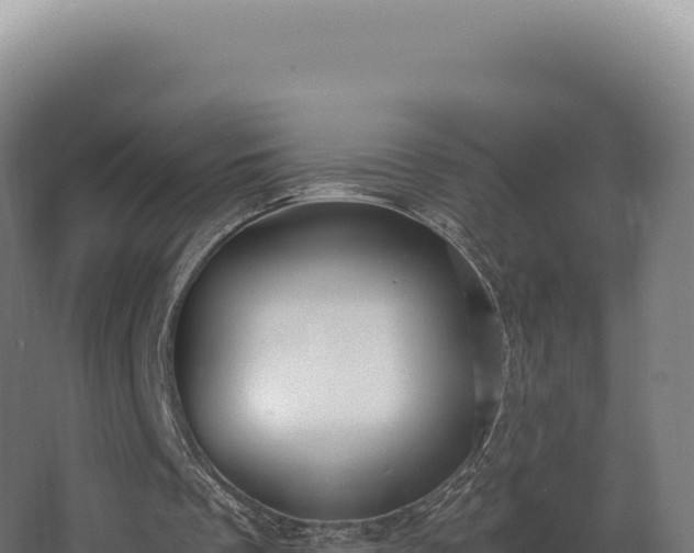 X0000068300289200604281717