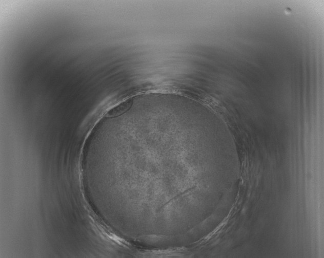 X0000068300290200604281717