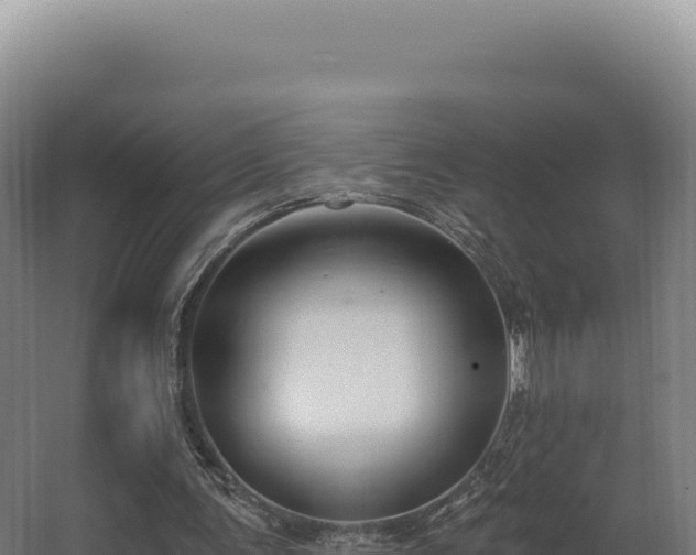 X0000068300291200604281717