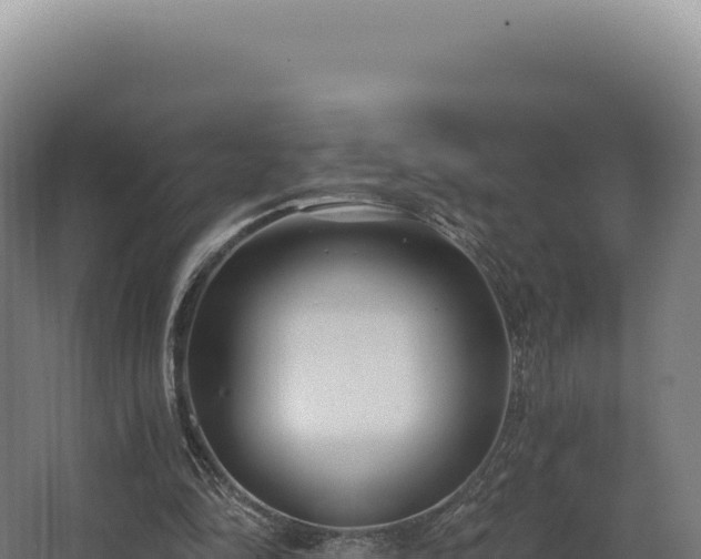 X0000068300294200604281716