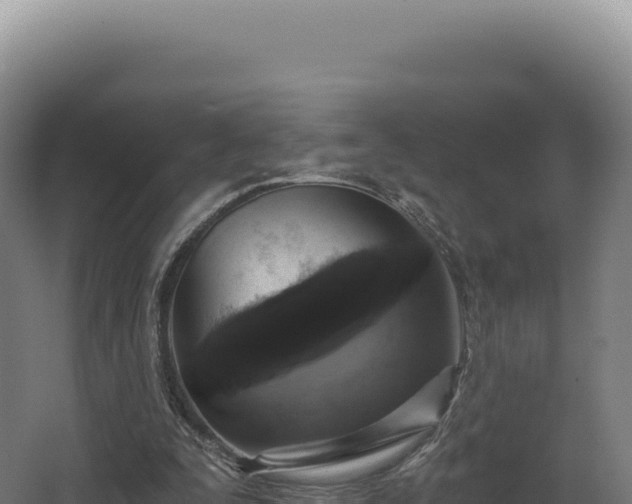 X0000068300295200604281716