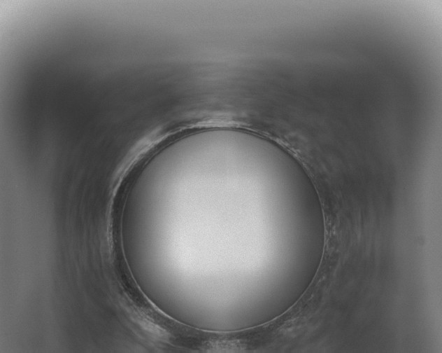 X0000068300296200604281716