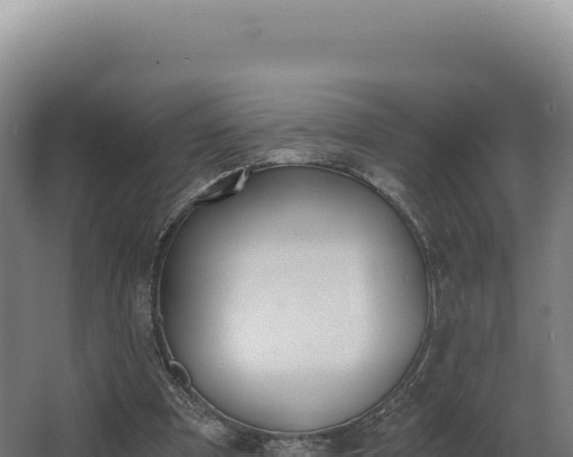 X0000068300297200604281716