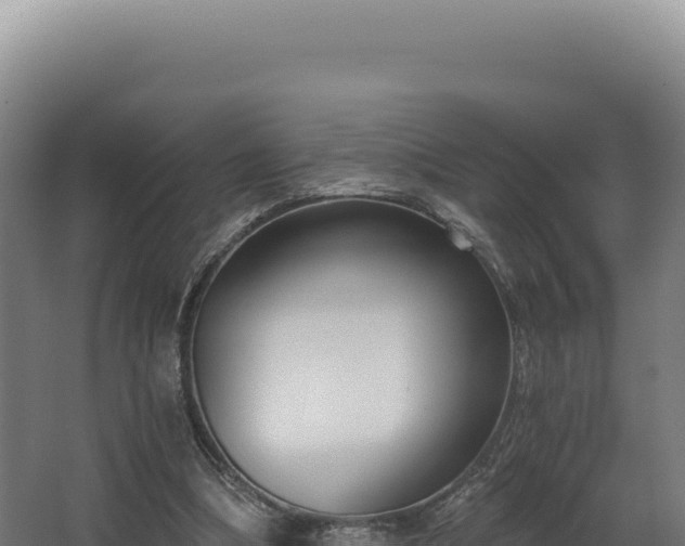 X0000068300298200604281716