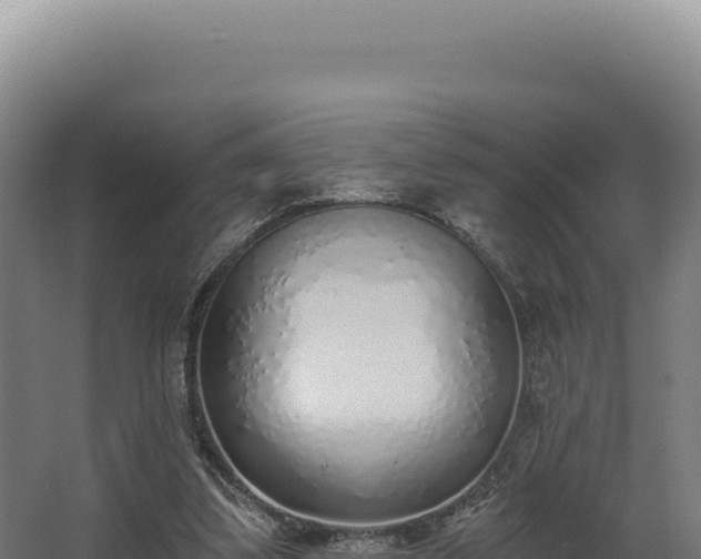 X0000068300299200604281716