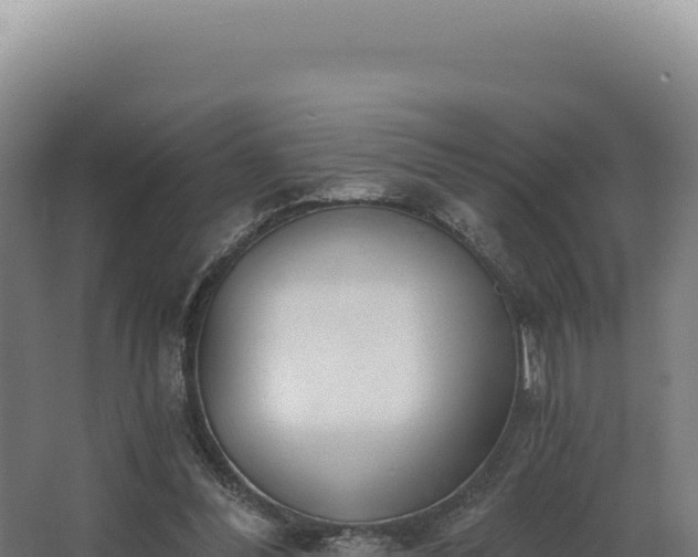 X0000068300300200604281716