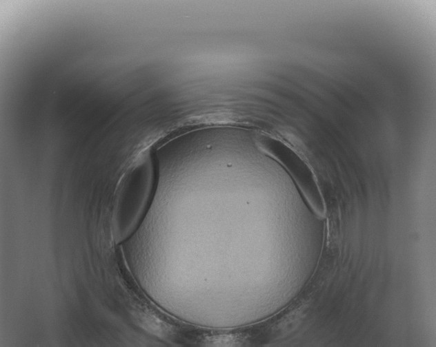 X0000068300301200604281716