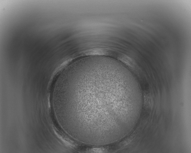 X0000068300302200604281716