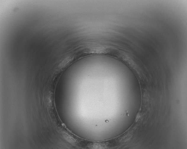 X0000068300305200604281716