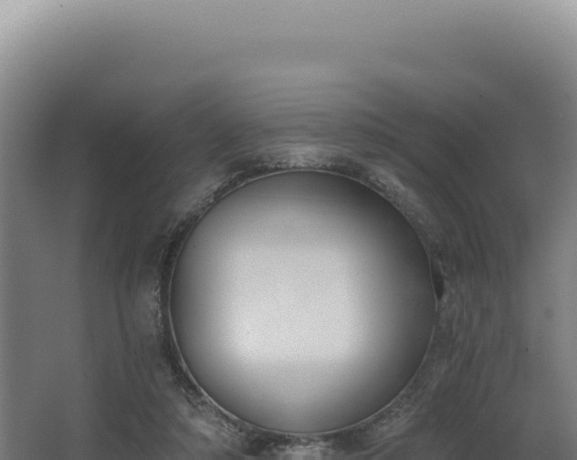 X0000068300306200604281716