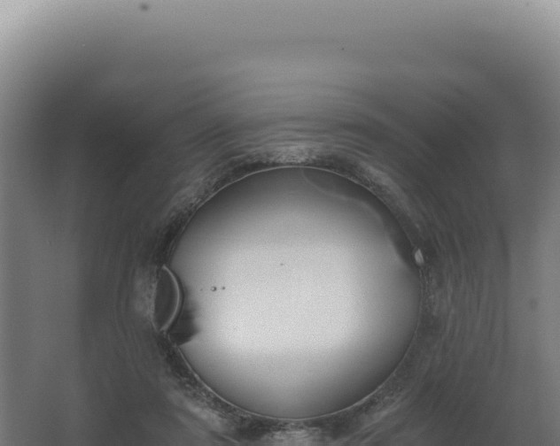 X0000068300307200604281716