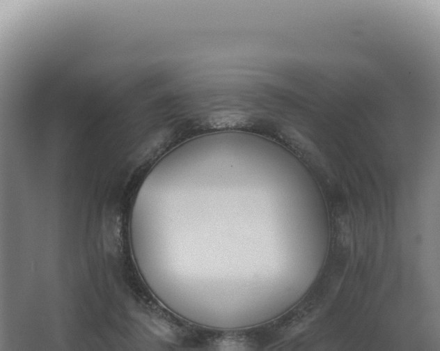 X0000068300308200604281716