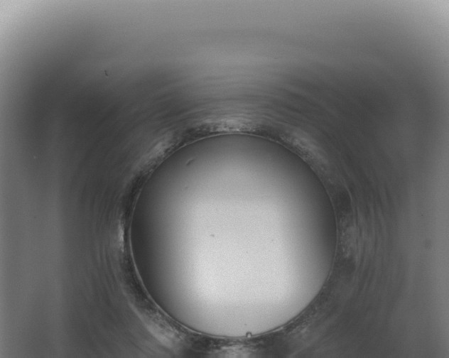 X0000068300310200604281716