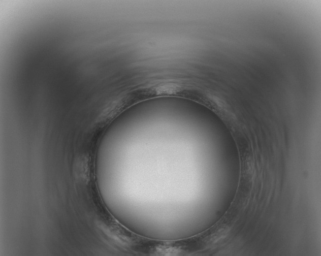 X0000068300311200604281716