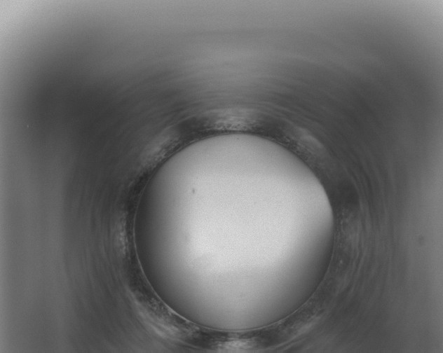 X0000068300312200604281716