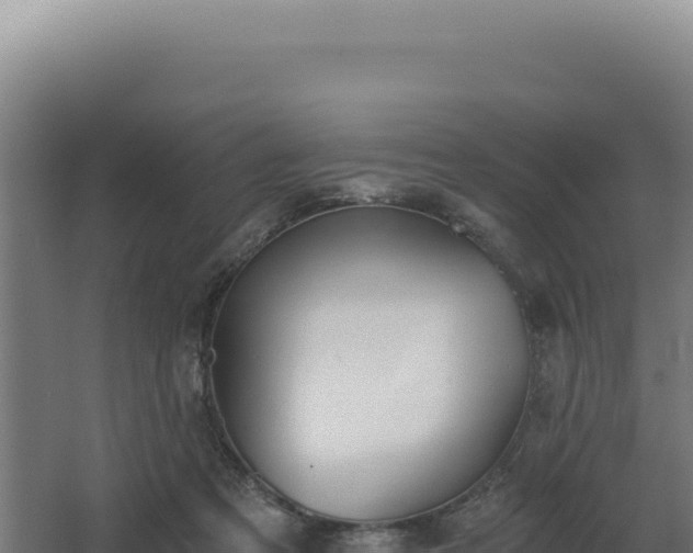 X0000068300313200604281716