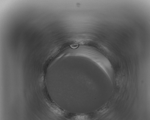 X0000068300314200604281716