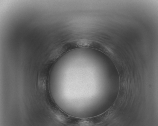 X0000068300315200604281716