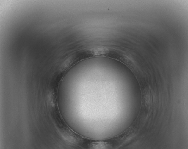 X0000068300316200604281716