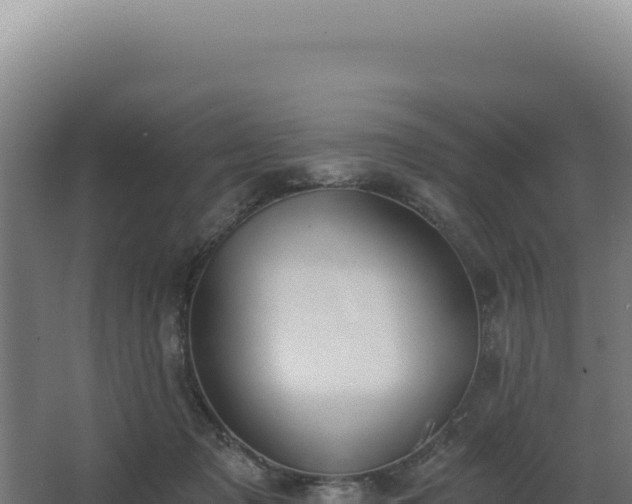 X0000068300317200604281716