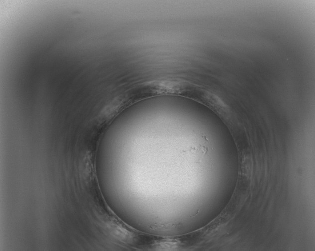 X0000068300318200604281716