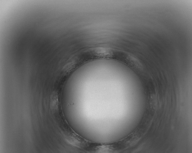 X0000068300320200604281716