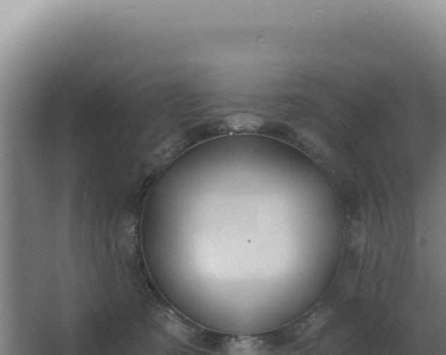 X0000068300321200604281716