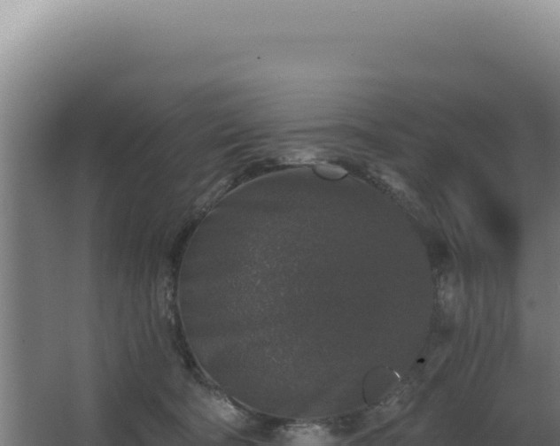 X0000068300322200604281716