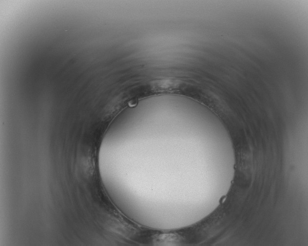 X0000068300324200604281716