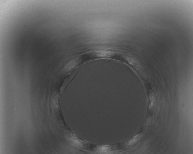 X0000068300325200604281716