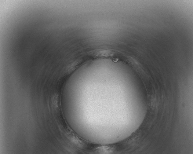 X0000068300326200604281716