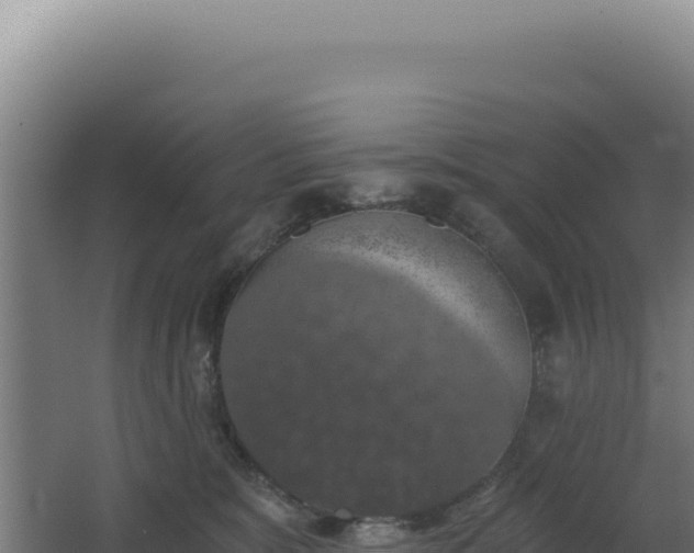 X0000068300327200604281716